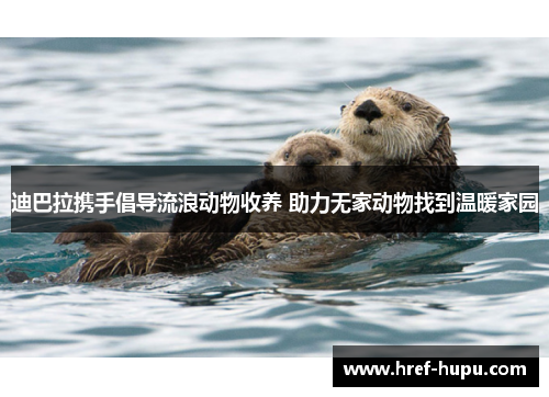 迪巴拉携手倡导流浪动物收养 助力无家动物找到温暖家园