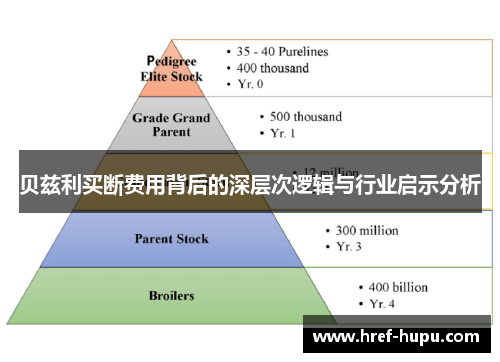 贝兹利买断费用背后的深层次逻辑与行业启示分析