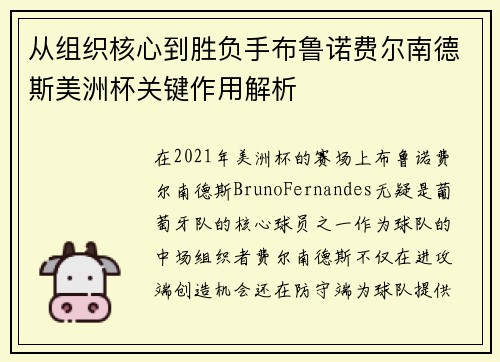 从组织核心到胜负手布鲁诺费尔南德斯美洲杯关键作用解析