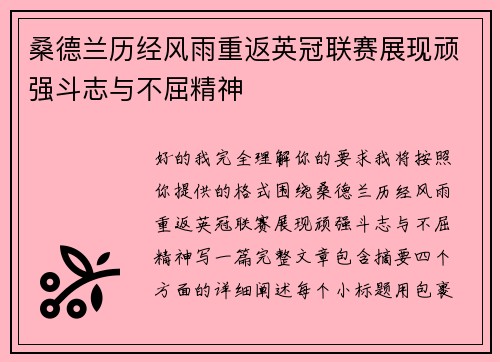 桑德兰历经风雨重返英冠联赛展现顽强斗志与不屈精神